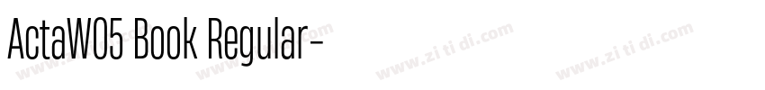 ActaW05 Book Regular字体转换